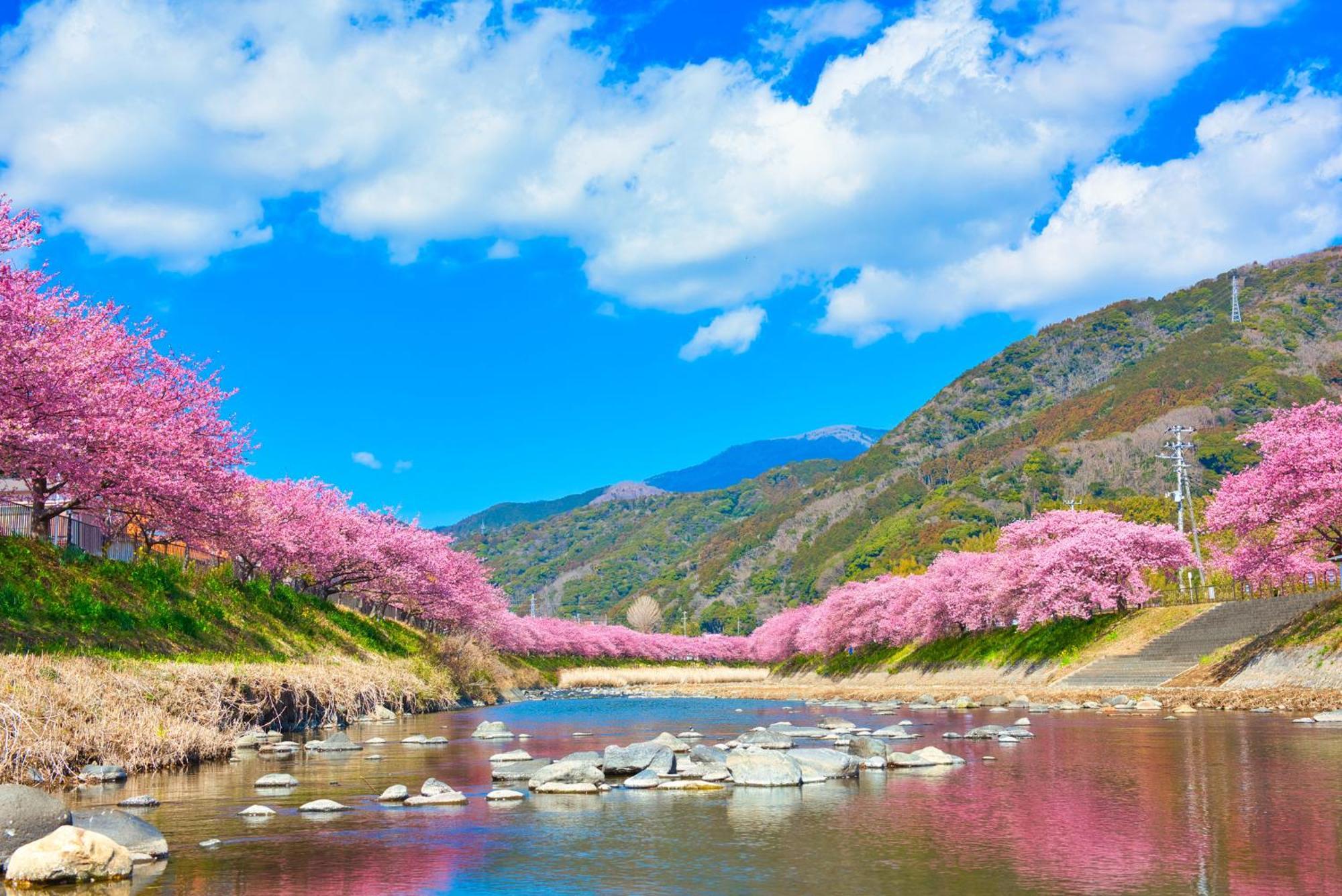Ramjet Kisami Beach House Shimoda - Enjoy Sakura, Beach And Bbq! Esterno foto
